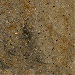 sonora